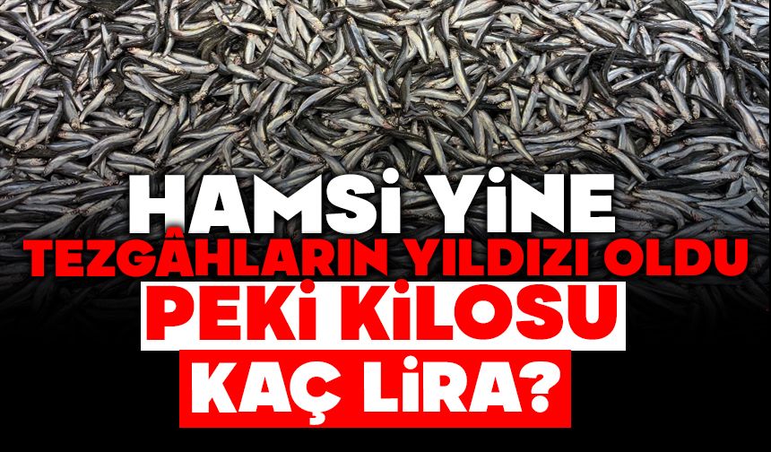 BOLU'DA BALIK FİYATLARI NE DURUMDA?