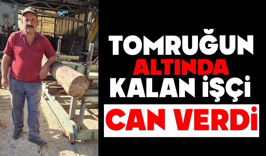 Tomruğun altında kalan işçi hayatını kaybetti