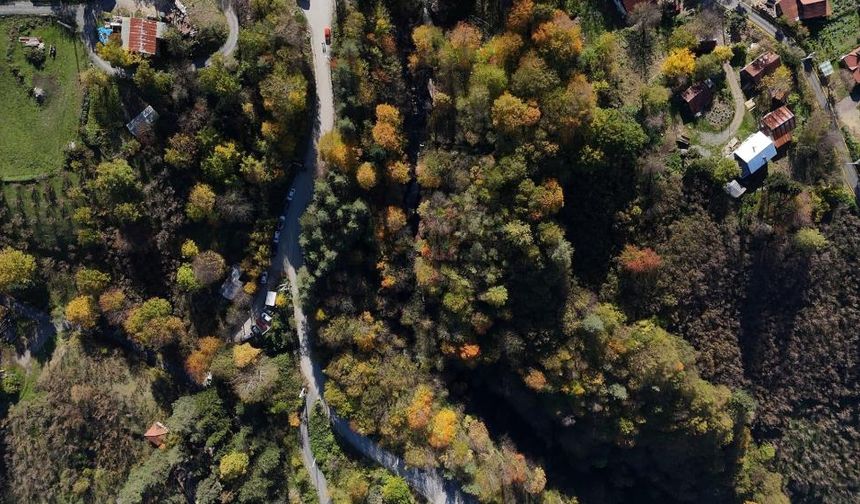 Türkiye'nin tek "cadı kazanı" şelalesinde sonbahar manzaraları