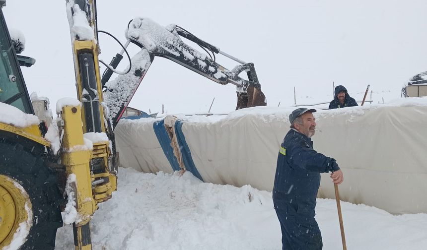 Karın ağırlığına dayanamayan çadır çöktü, 8 koyun telef oldu