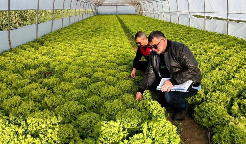 Kırklareli'nde sera denetimleri