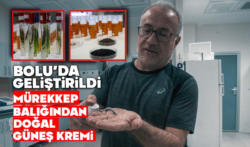 Bolu’da Geliştirildi: Mürekkep Balığından Doğal Güneş Kremi