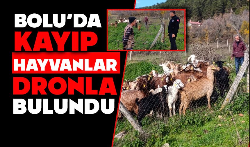 Bolu’da kayıp hayvanlar dronla bulundu