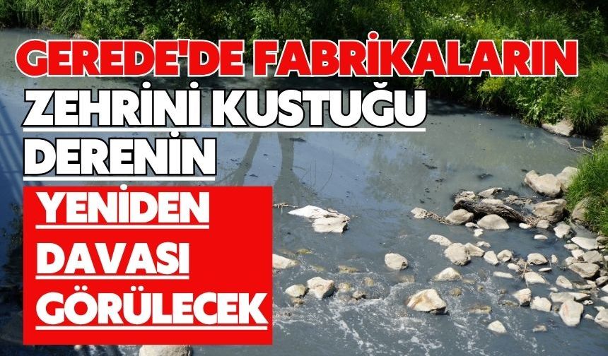 Gerede'de fabrikaların zehrini kustuğu derenin yeniden davası görülecek