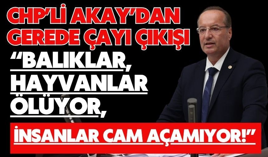 CHP’Lİ AKAY’DAN GEREDE ÇAYI ÇIKIŞI
