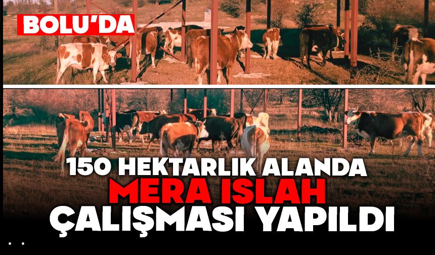 BOLU’DA, 150 HEKTARLIK ALANDA MERA ISLAH ÇALIŞMASI YAPILDI