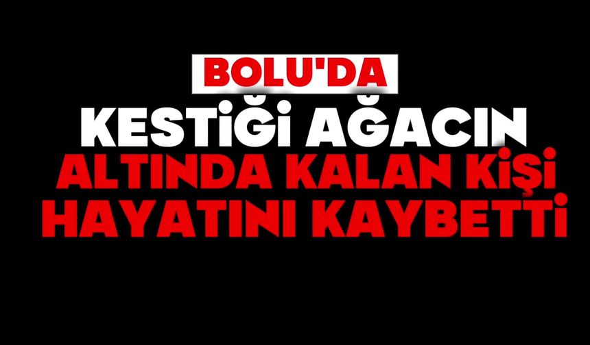 Bolu'da kestiği ağaç üzerine düşen kişi öldü