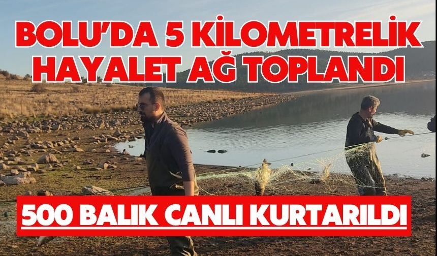 Bolu’da 5 kilometrelik hayalet ağ toplandı: 500 balık canlı kurtarıldı