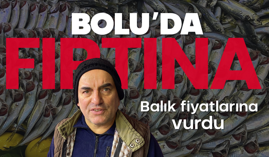 Bolu'da fırtına balık tezgahlarını vurdu