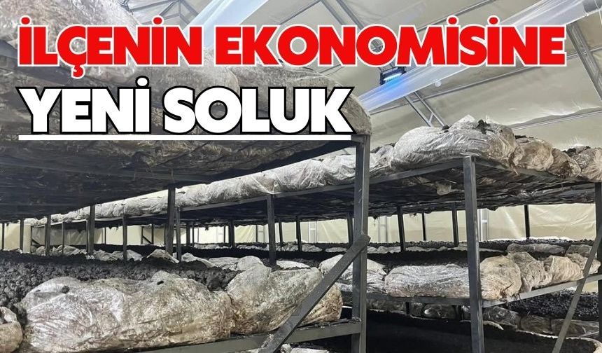 İlçenin ekonomisine yeni soluk