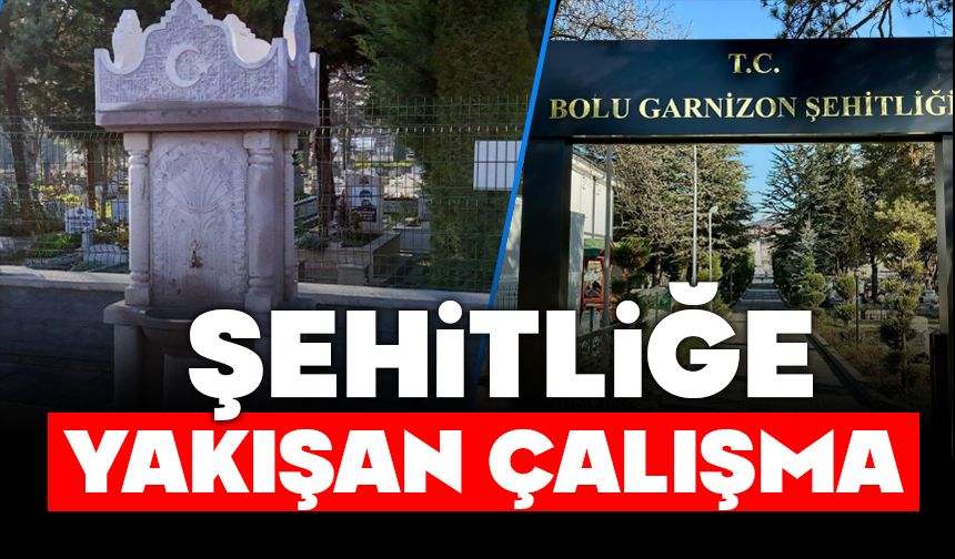ŞEHİTLİĞE YAKIŞAN ÇALIŞMA