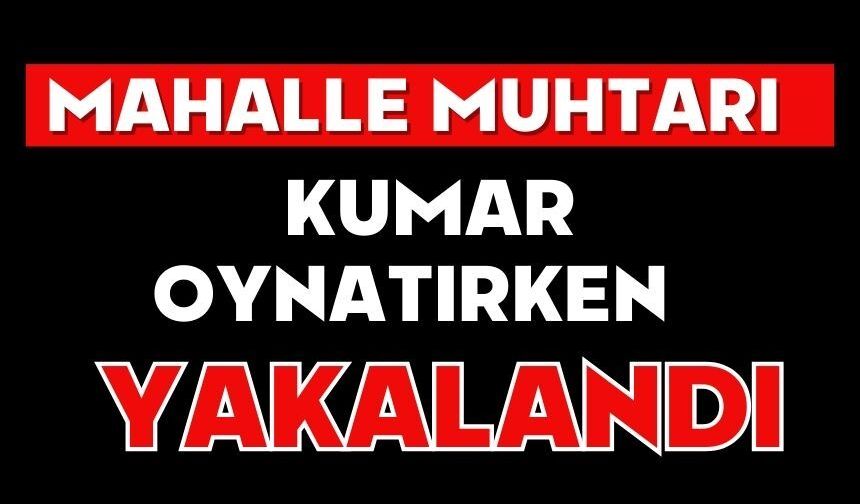 Mahalle muhtarı kumar oynatırken yakalandı