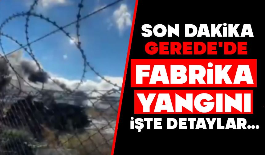 Son dakika, Gerede'de fabrika yangını