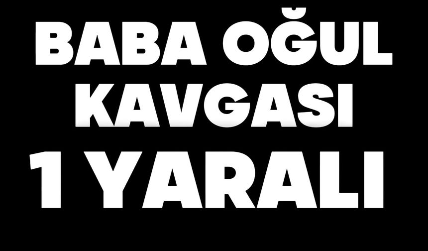 Baba-oğul kavgası, 1 yaralı