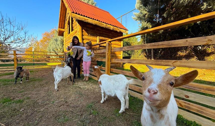 Dünyada ilk kez kullanılan yöntem, özel çocukların gelişiminde inanılmaz katkılar sağladı