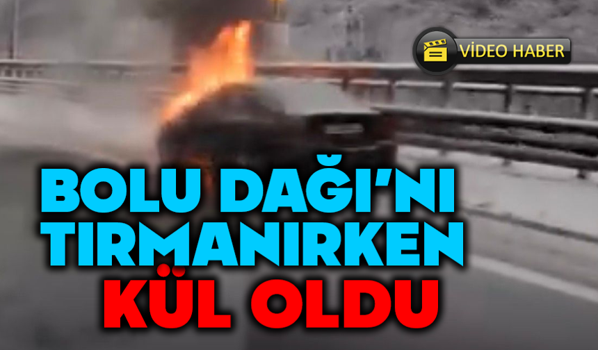 Bolu Dağı'nı çıkarken alev alev yandı