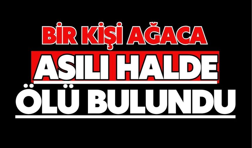 Bir kişi ağaca asılı halde ölü bulundu