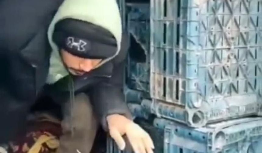 Düzce'de 13 düzensiz göçmen yakalandı