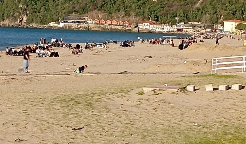 Sıcaklığın 28 dereceye çıktığı Bartın'da plaj ve parklar doldu