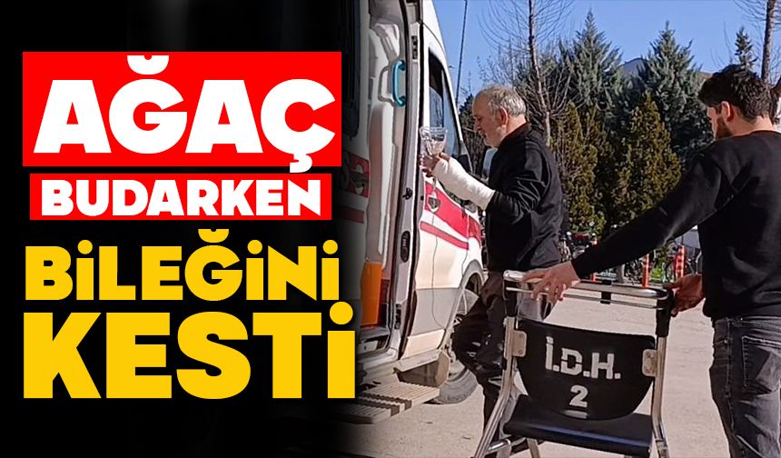 Ağaç budarken bileğini kesti