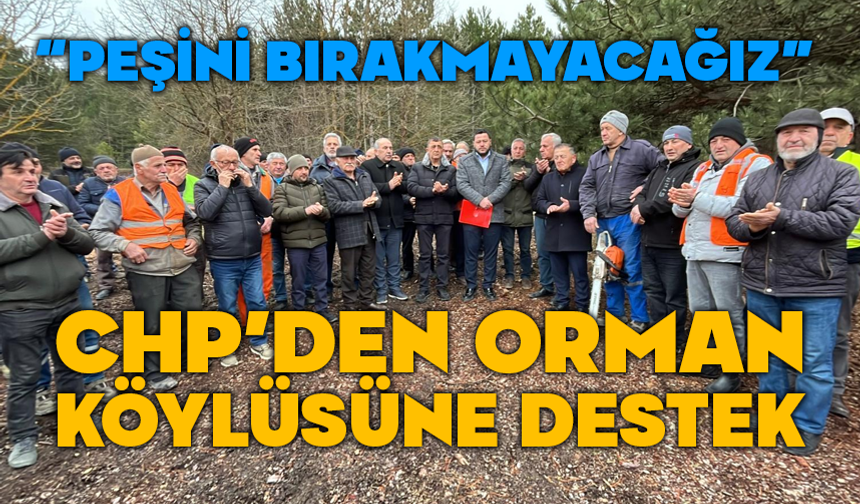 KARAGÖZ: “ORMAN KÖYLÜSÜNÜN EMEĞİ YOK SAYILAMAZ”