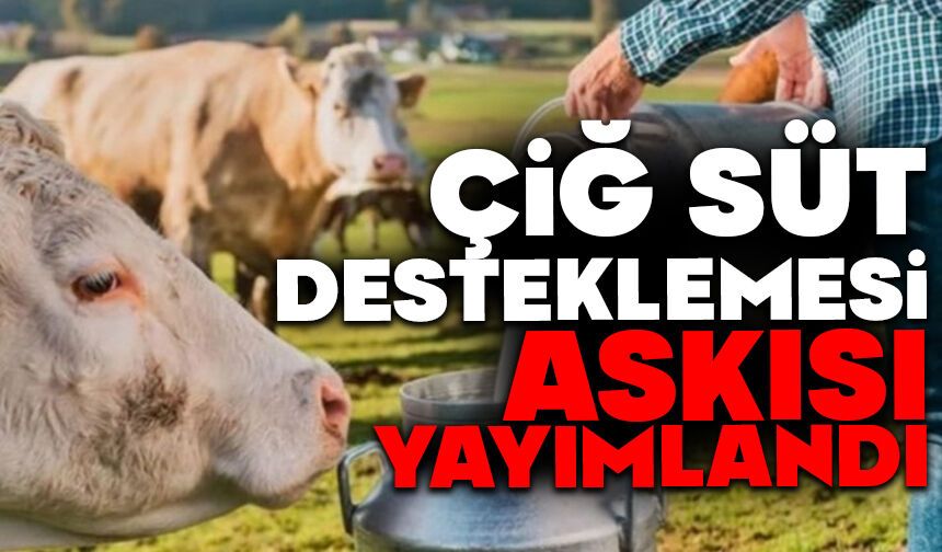 ÇİĞ SÜT DESTEKLEMESİ ASKISI YAYIMLANDI