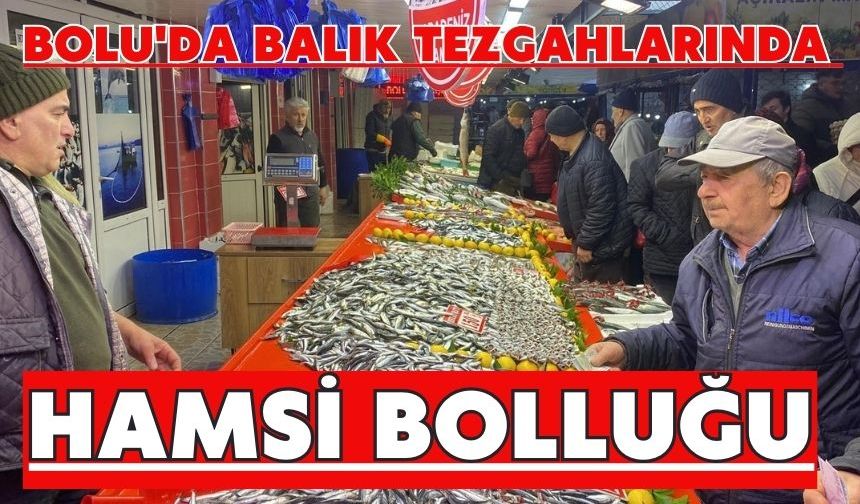 Bolu'da balık tezgahlarında hamsi bolluğu