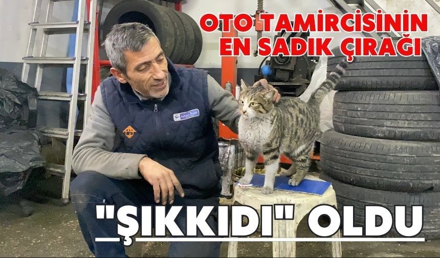 Oto tamircisinin en sadık çırağı "Şıkkıdı" oldu