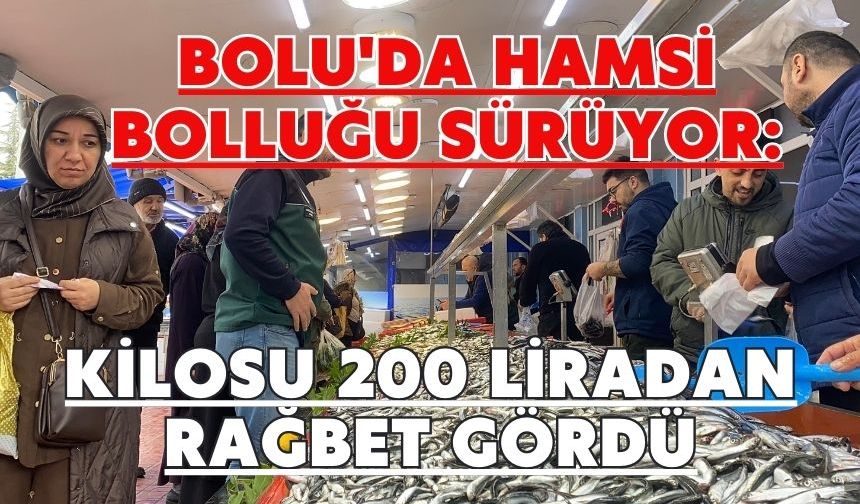 Bolu'da hamsi bolluğu sürüyor