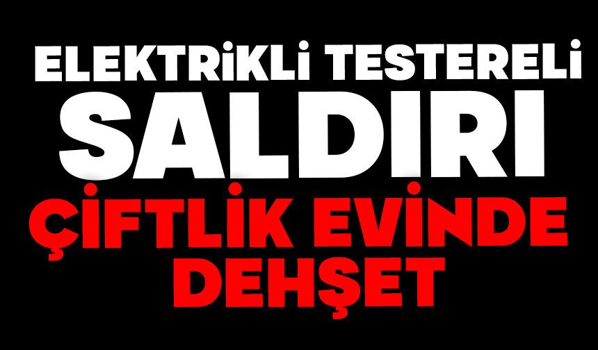 Elektrikli testereli saldırı: Çiftlik evinde dehşet