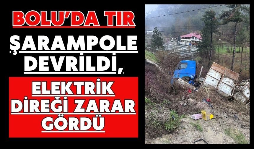 Bolu’da tır şarampole devrildi, elektrik direği zarar gördü