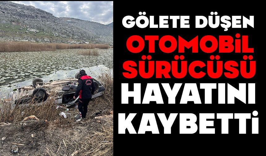 Gölete düşen otomobil sürücüsü hayatını kaybetti