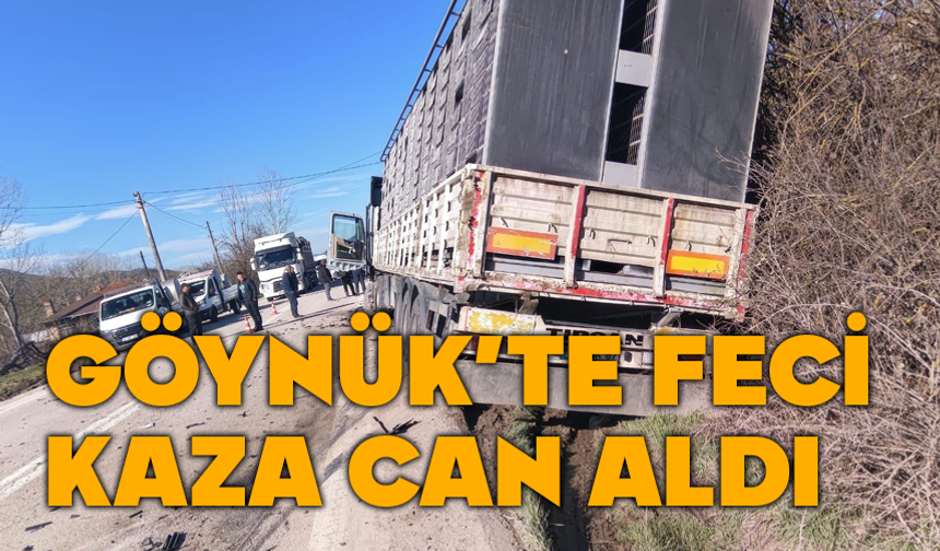 Göynük'te kaza can aldı