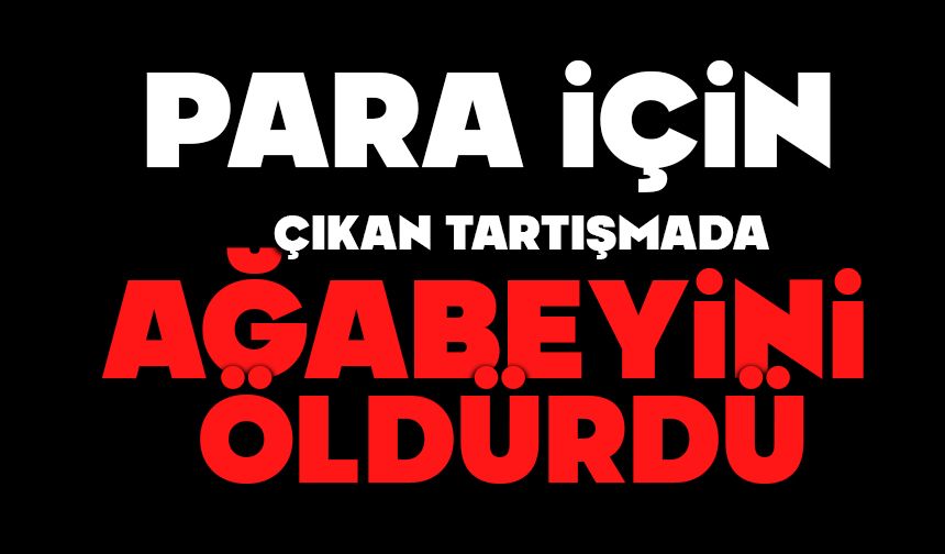 Para için ağabeyini öldürdü