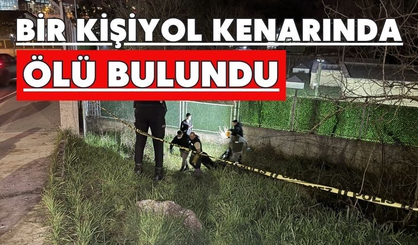 Bir kişi yol kenarında ölü bulundu