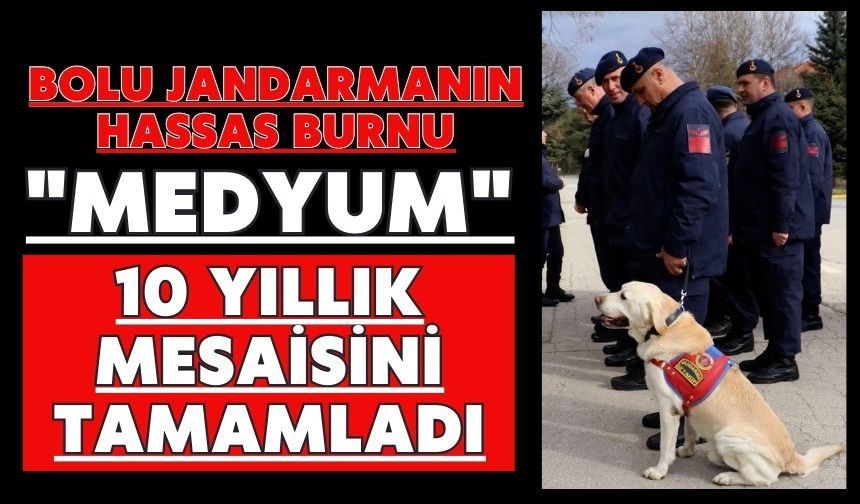 Bolu Jandarmanın hassas burnu "Medyum" 10 yıllık mesaisini tamamladı