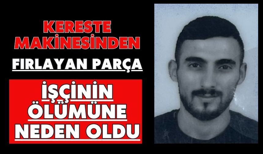 Kereste makinesinden fırlayan parça işçinin ölümüne neden oldu