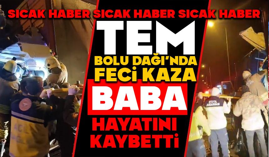 TEM’de kamyonlar çarpıştı: 1 ölü, 1 yaralı