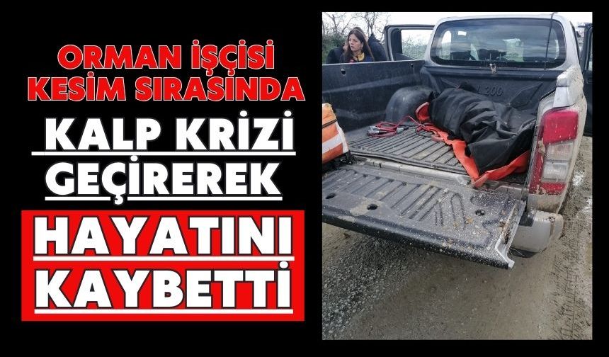 Orman işçisi kesim sırasında kalp krizi geçirerek hayatını kaybetti