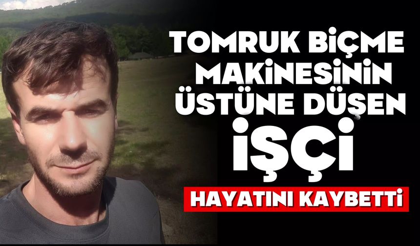 Tomruk biçme makinesinin üstüne düşen işçi hayatını kaybetti