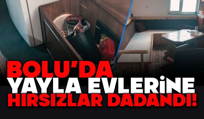 Yayla Evlerine Hırsızlar Dadandı!