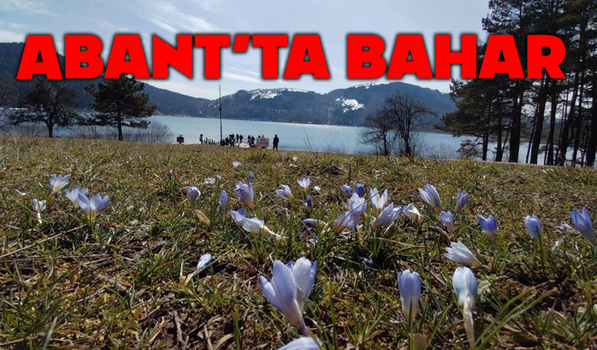 Abant'ta karların ardından bahar manzarası