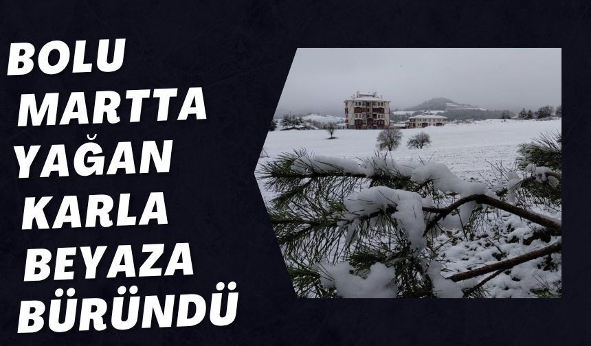 BOLU MARTTA YAĞAN KARLA BEYAZA BÜRÜNDÜ