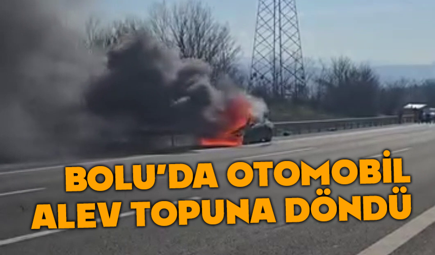 Bolu'da otomobil kül oldu