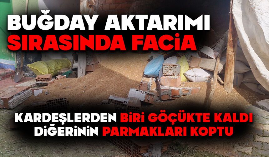Buğday aktarımı sırasında facia: Kardeşlerden biri göçükte kaldı, diğerinin parmakları koptu