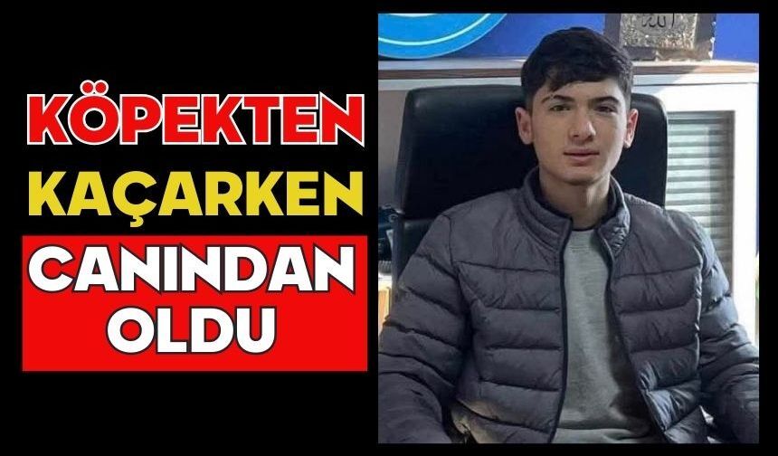 Köpekten kaçarken canından oldu