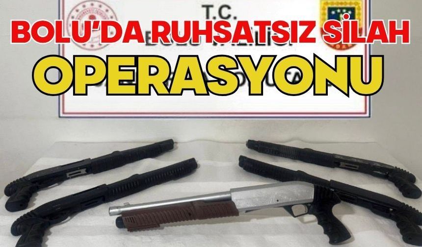 BOLU’DA RUHSATSIZ SİLAH OPERASYONU
