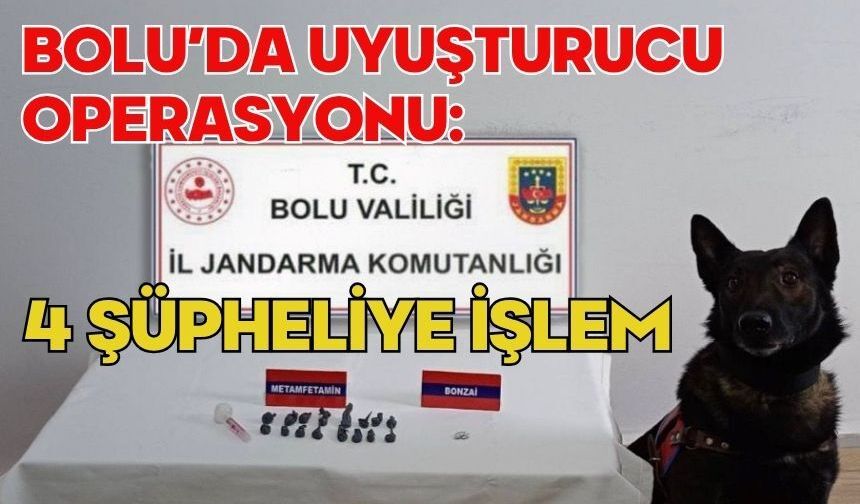 BOLU’DA UYUŞTURUCU OPERASYONU: 4 ŞÜPHELİYE İŞLEM