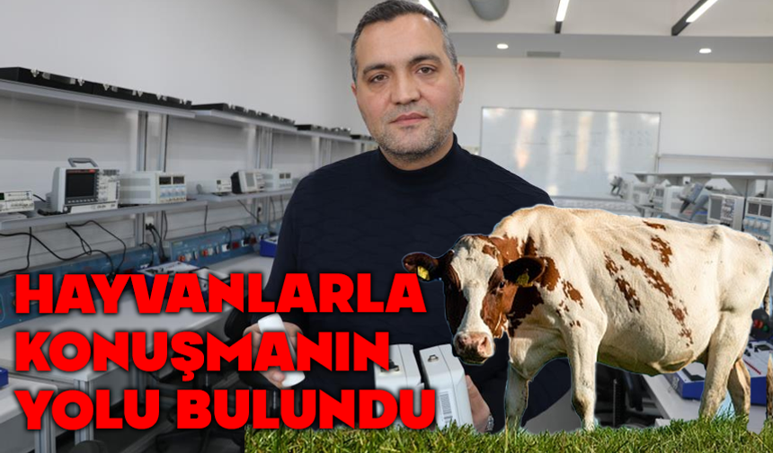 Türkiye'de geliştirilen proje hayvanlarla konuşturacak