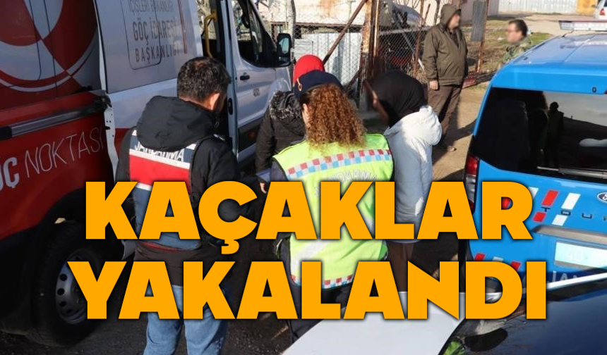 Düzce'de 5 düzensiz göçmen yakalandı